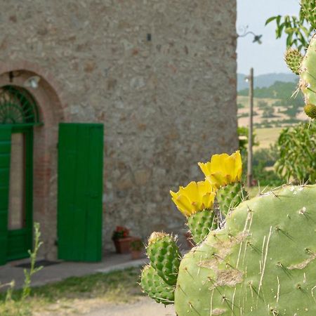 Agriturismo Casa Montecucco Giuncarico Eksteriør billede