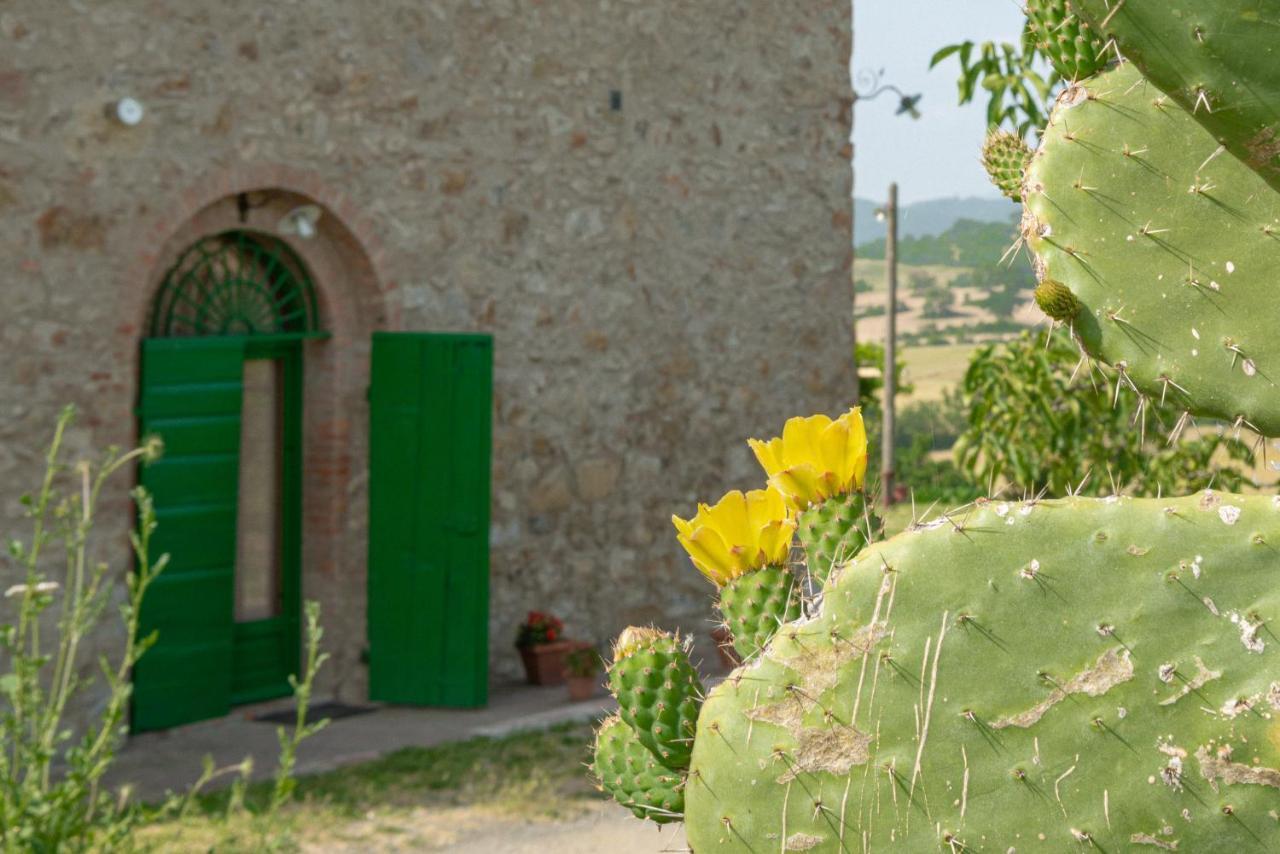 Agriturismo Casa Montecucco Giuncarico Eksteriør billede